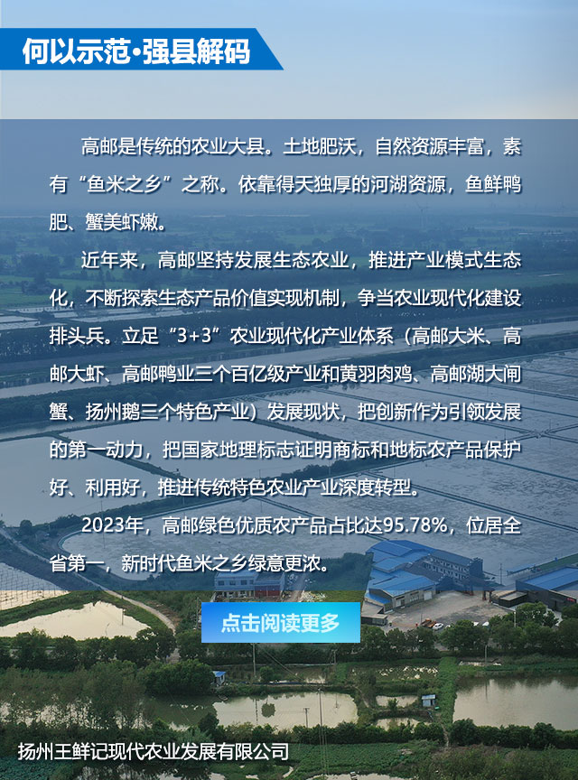 何以示范·强县解码 | 高邮篇_中国江苏网